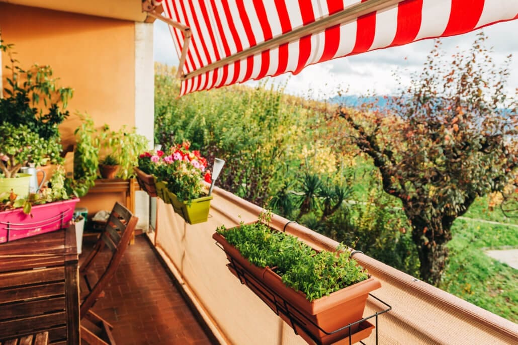 Tips for Container Gardening