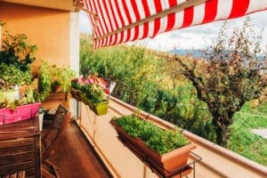 Tips for Container Gardening